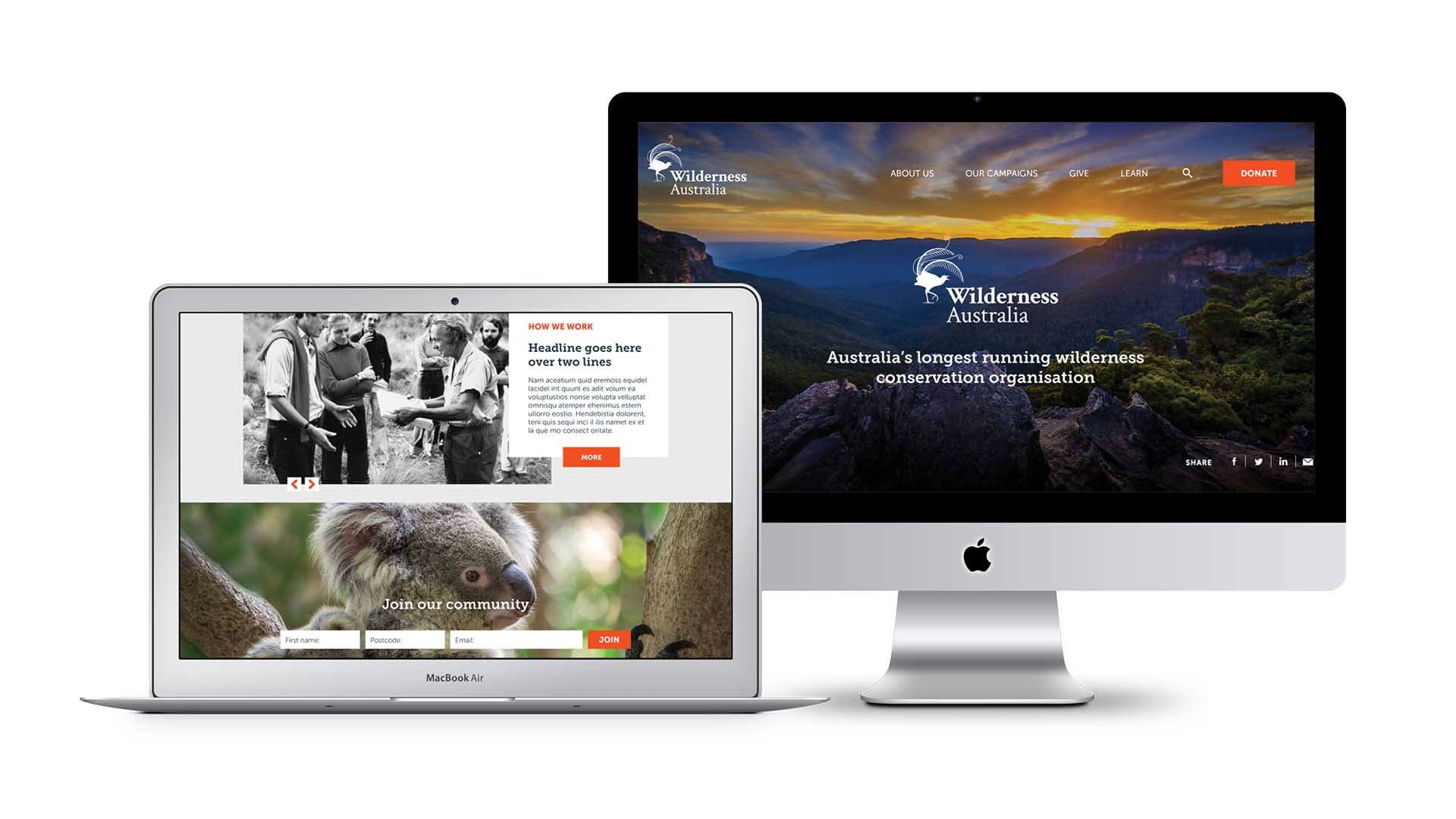 website design Wilderness Australia