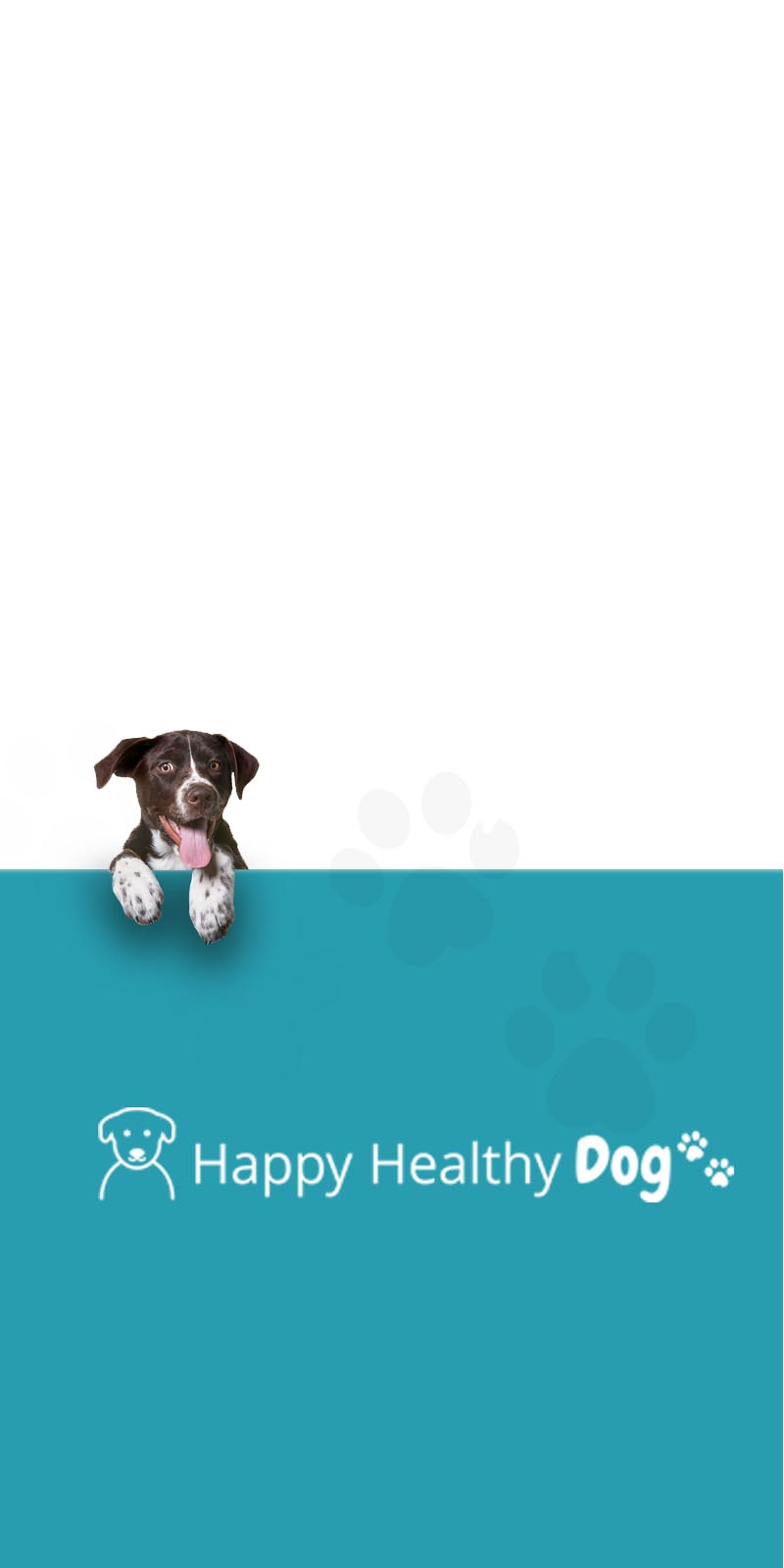 Happy Healthy Dog Website by Think Creative agency
