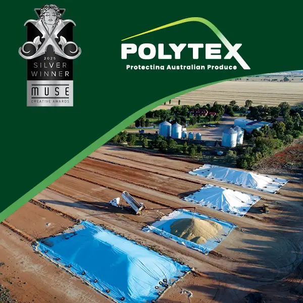 Polytex